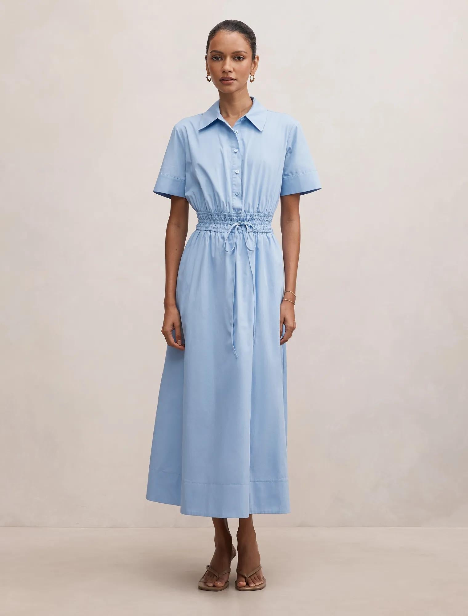 Brynn Petite Elastic Waist Midi Dress Hydrangea