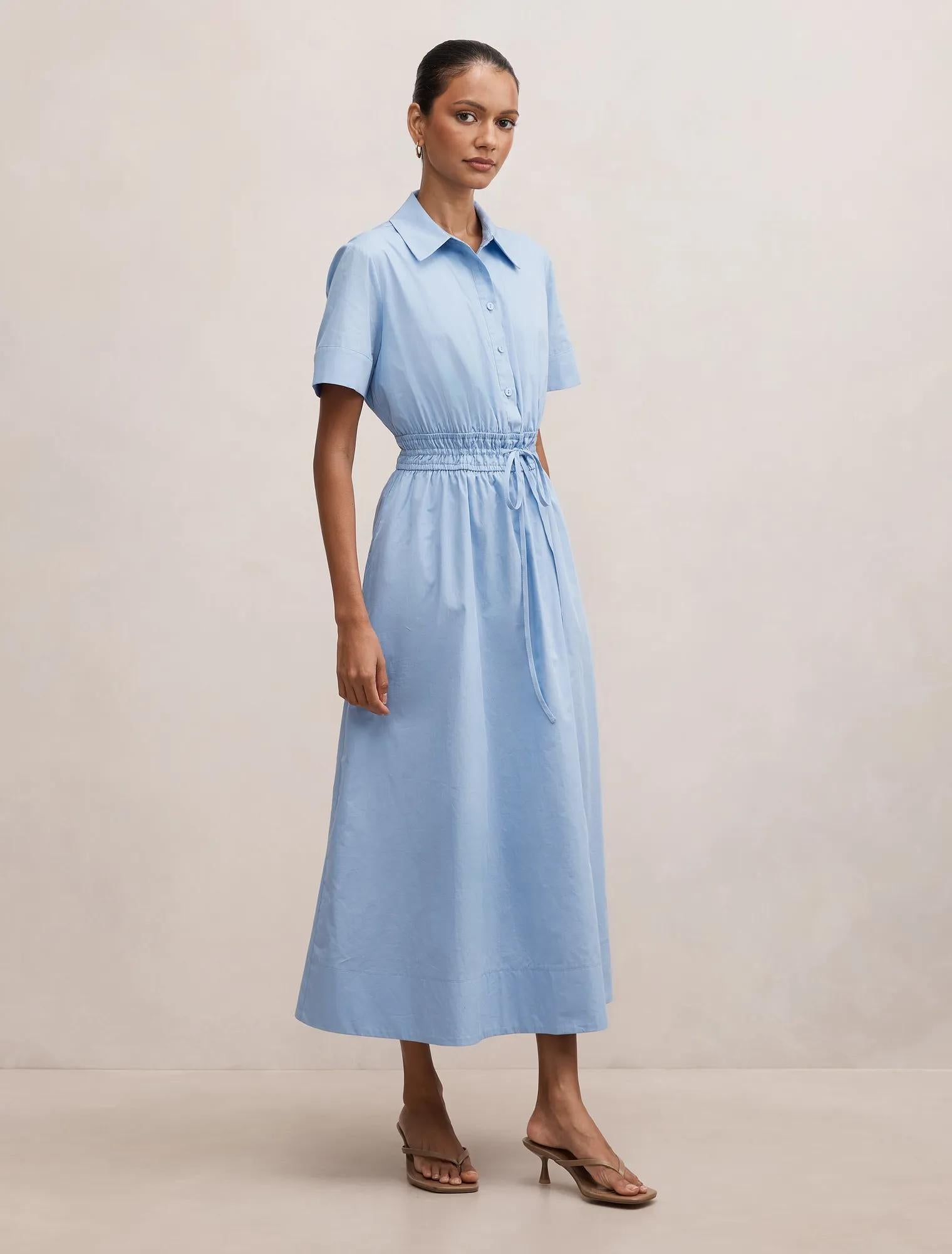 Brynn Petite Elastic Waist Midi Dress Hydrangea
