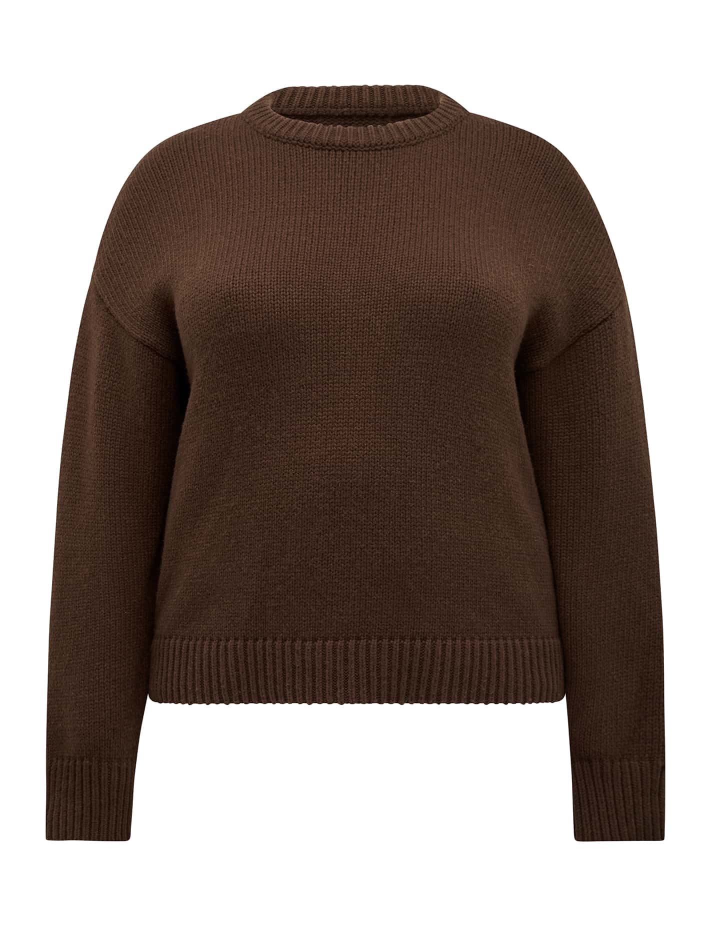 Matilda Curve Knit Crew Neck Sweater Shadow Brown_mannequin