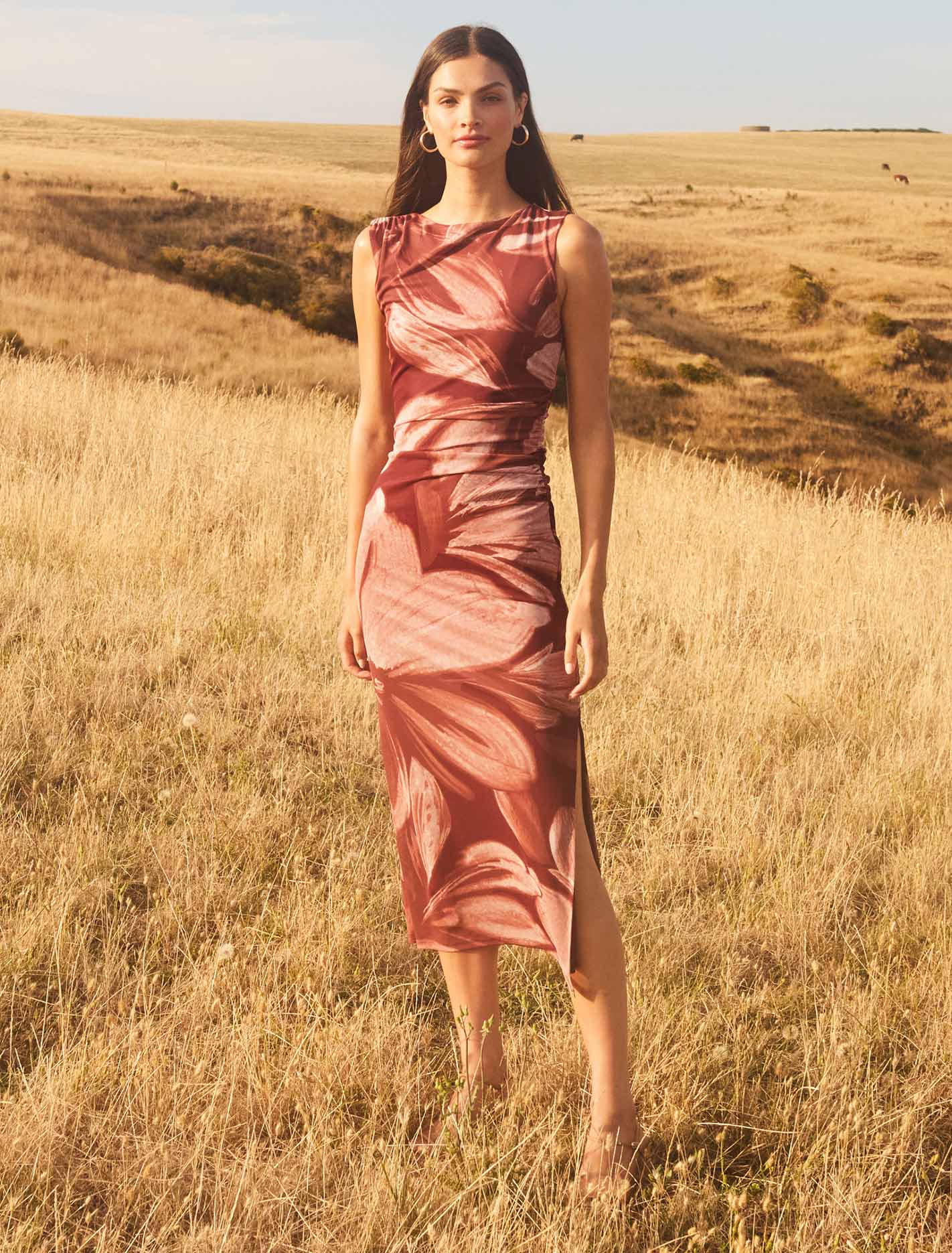 Ally Sleeveless Mesh Midi Dress Rust Carissa Floral